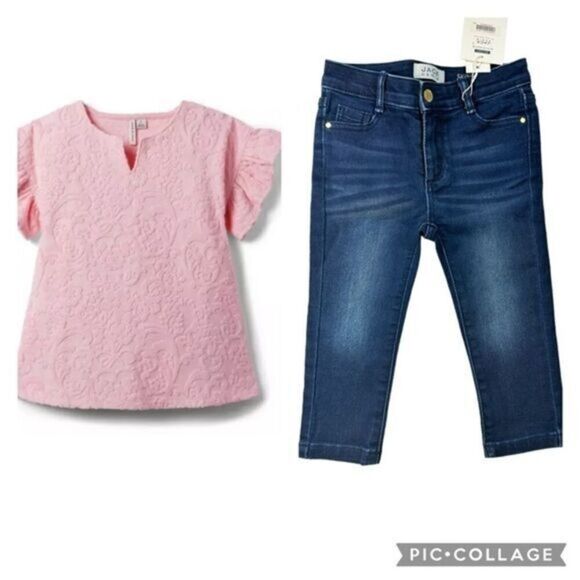 NWT Janie and Jack Toddler Girls Pink Jacquard Top & Blue Jeans - Size 12-18M - Picture 1 of 12